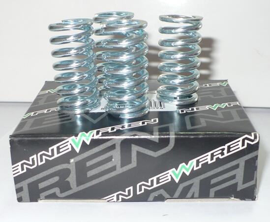 CLUTCH SPRINGS CBR600F