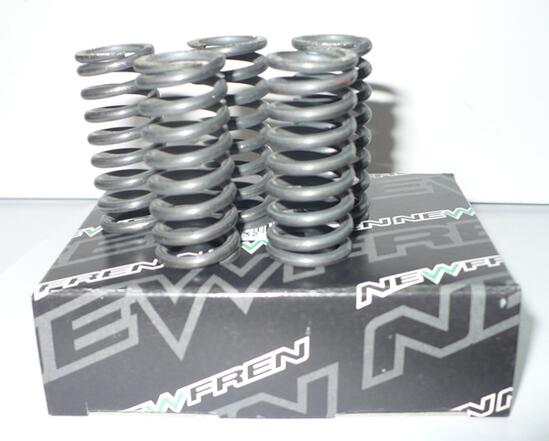 CLUTCH SPRINGS CBF500