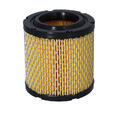 265239 RE2009