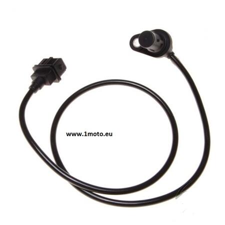 ZCF2301