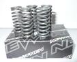 CLUTCH SPRINGS CBF500